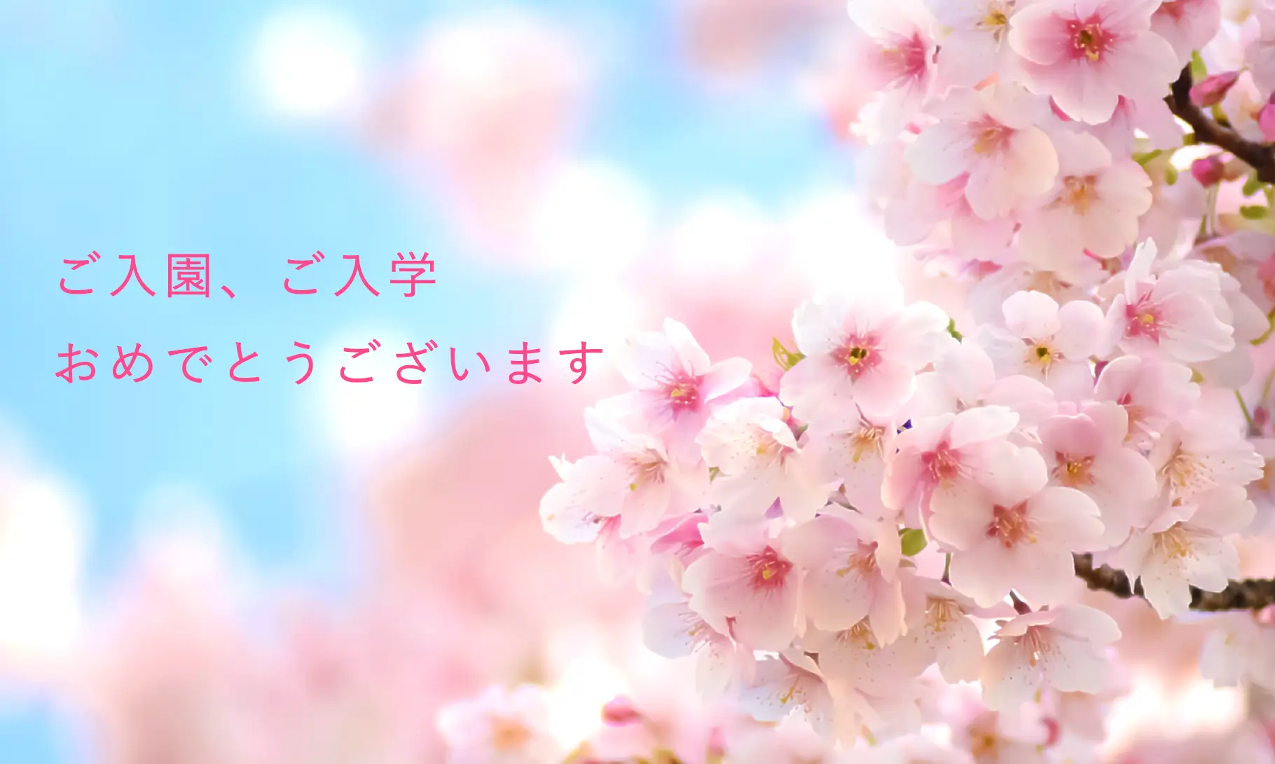 ご入園、ご入学 おめでとうございます